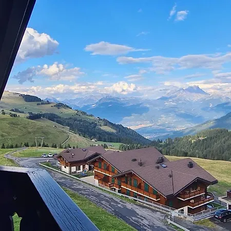 Merle 18 * Champoussin