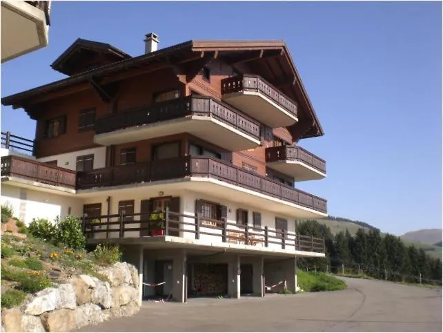 Merle 18 Champoussin