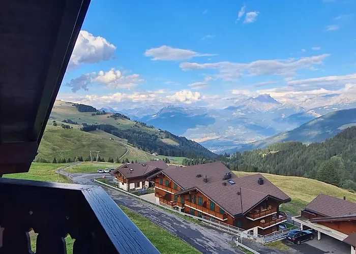 Merle 18 * Champoussin