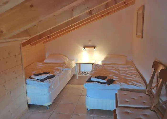 Merle 18 Шампуссин