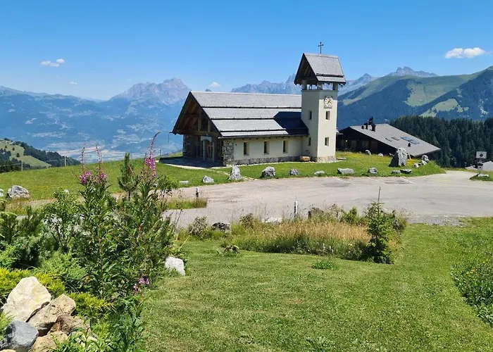 Merle 18 Шампуссин